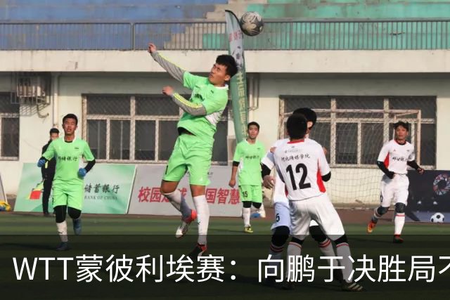 WTT蒙彼利埃赛：向鹏于决胜局不敌奥恰洛夫